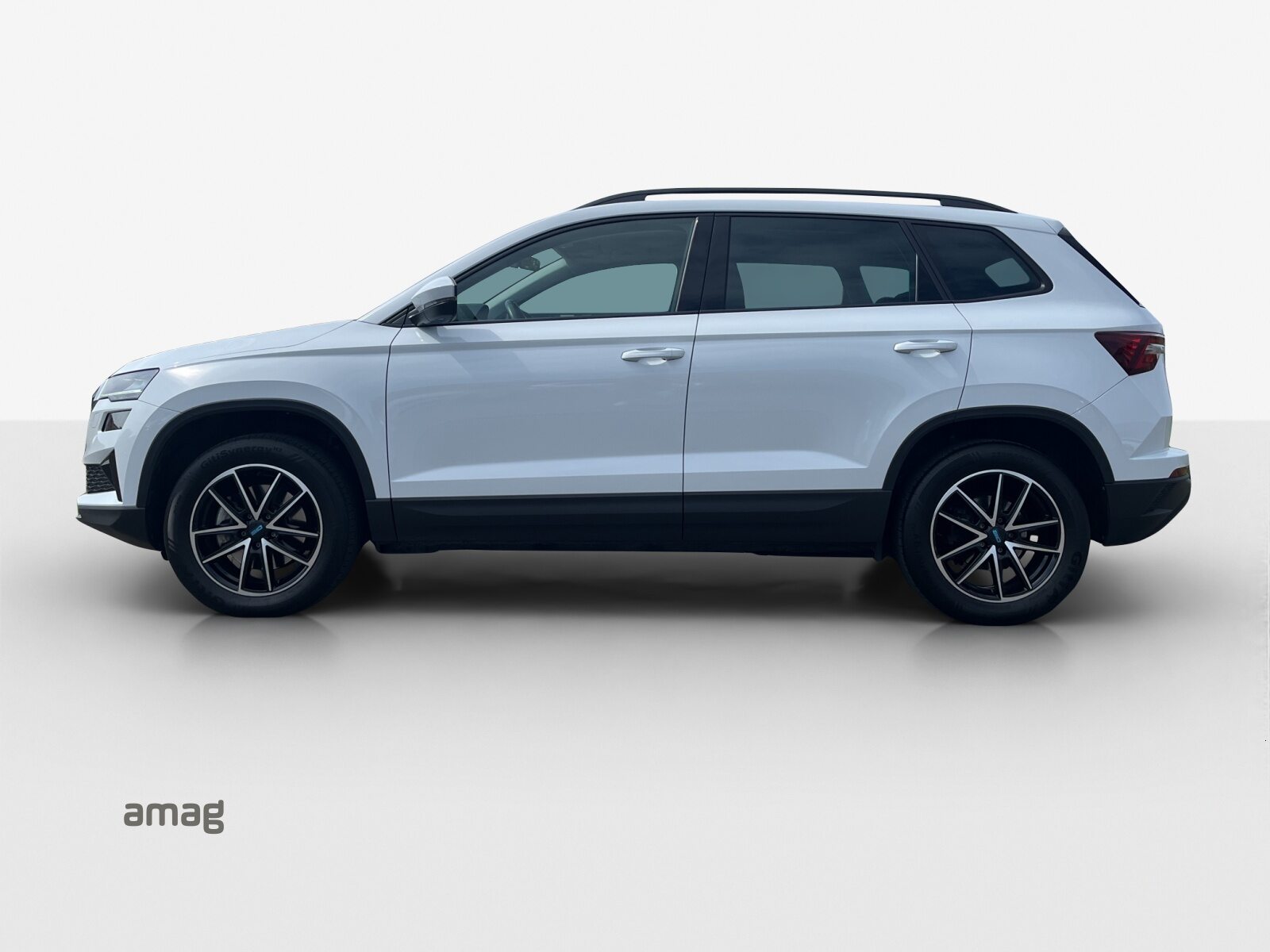 SKODA Karoq Ambition, Diesel, Occasion / Utilisé, Automatique - 2
