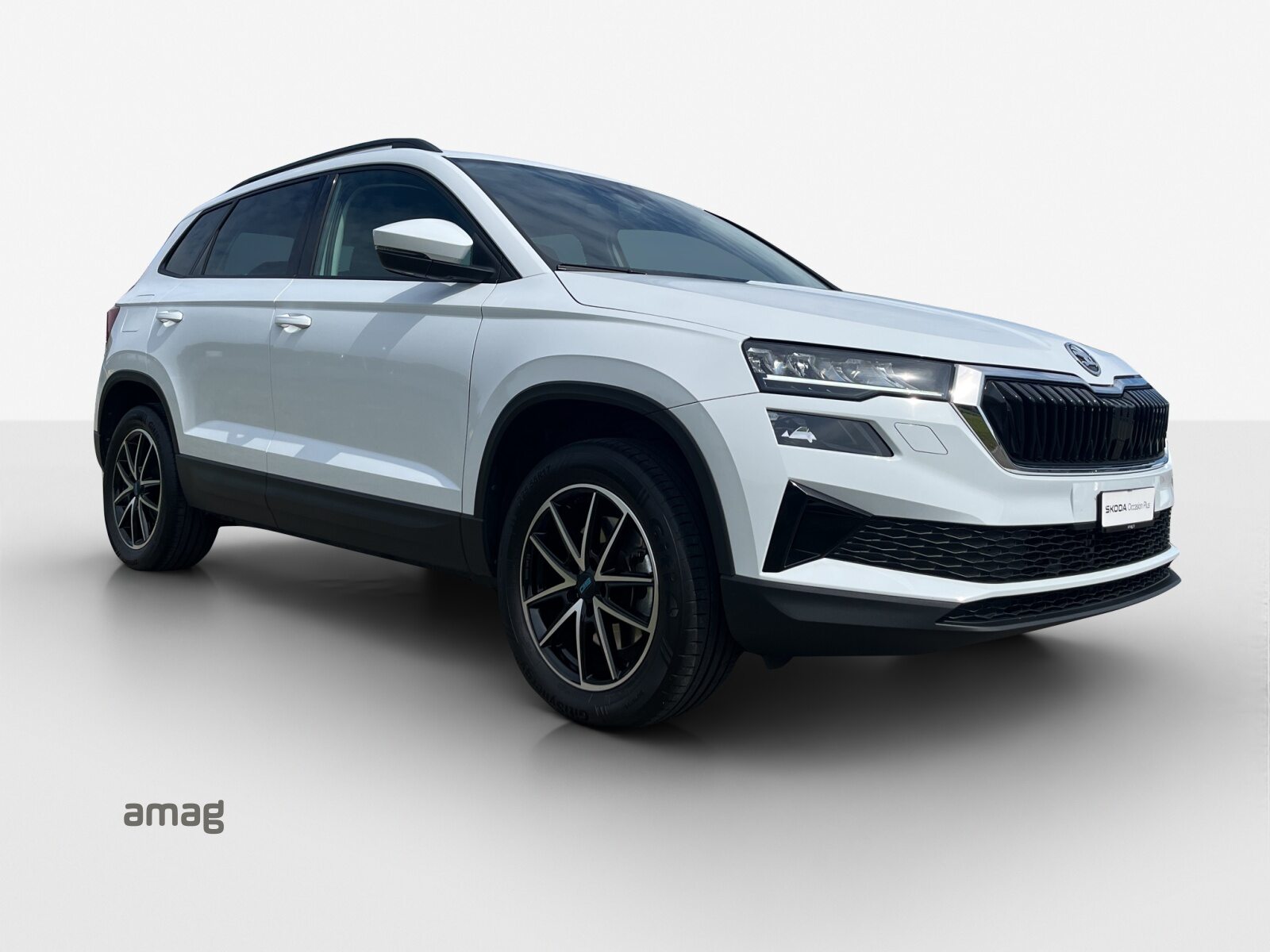 SKODA Karoq Ambition, Diesel, Occasion / Utilisé, Automatique - 6