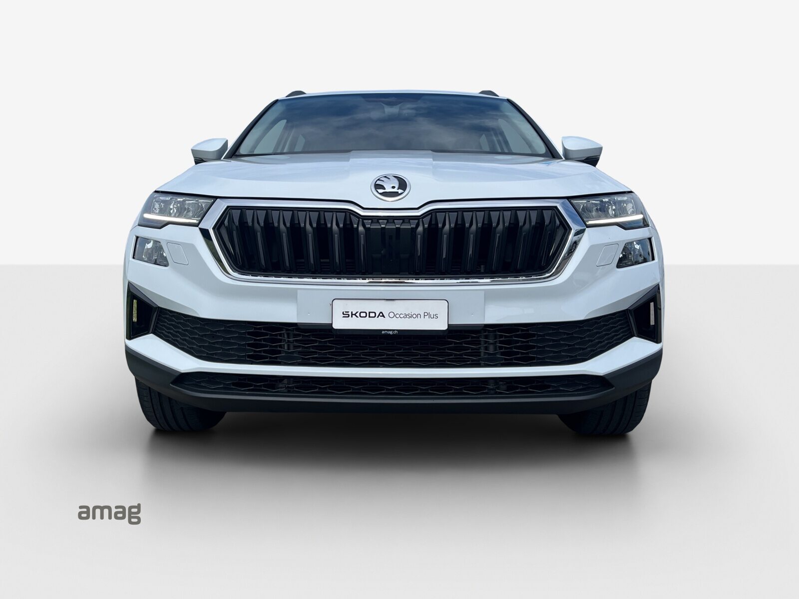 SKODA Karoq Ambition, Diesel, Occasion / Utilisé, Automatique - 7