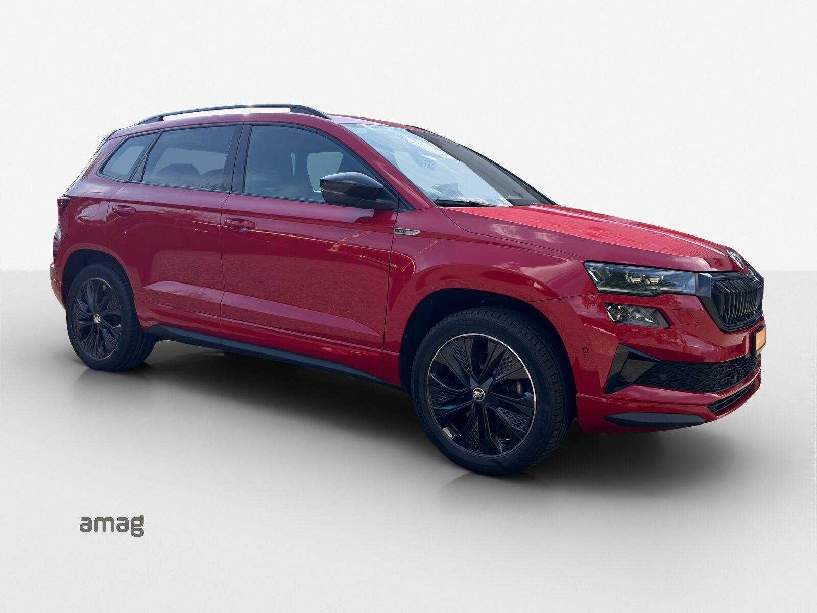 SKODA Karoq SportLine, Benzina, Occasioni / Usate, Automatico - 6