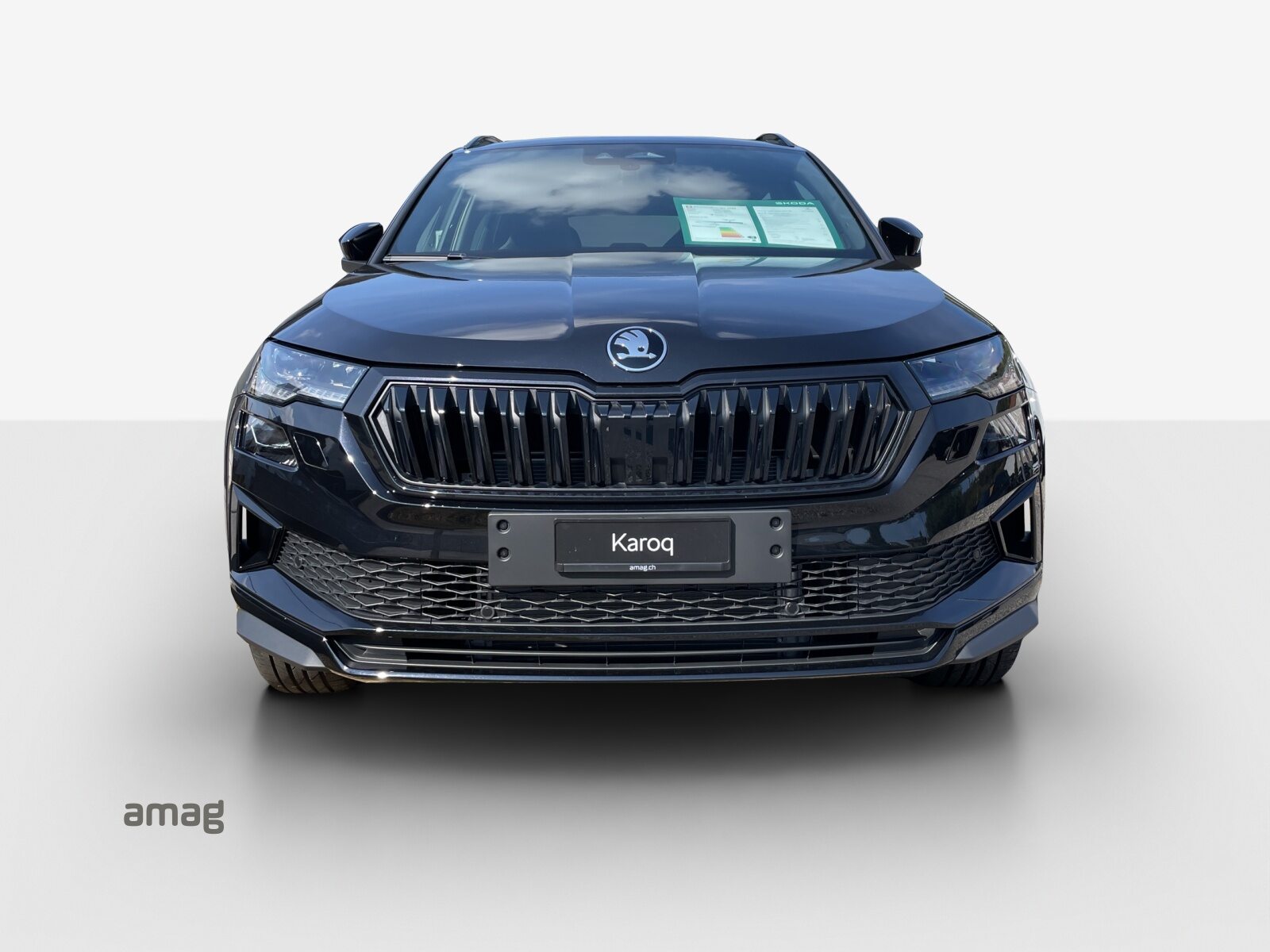 SKODA Karoq Sportline, Benzina, Occasioni / Usate, Automatico - 7