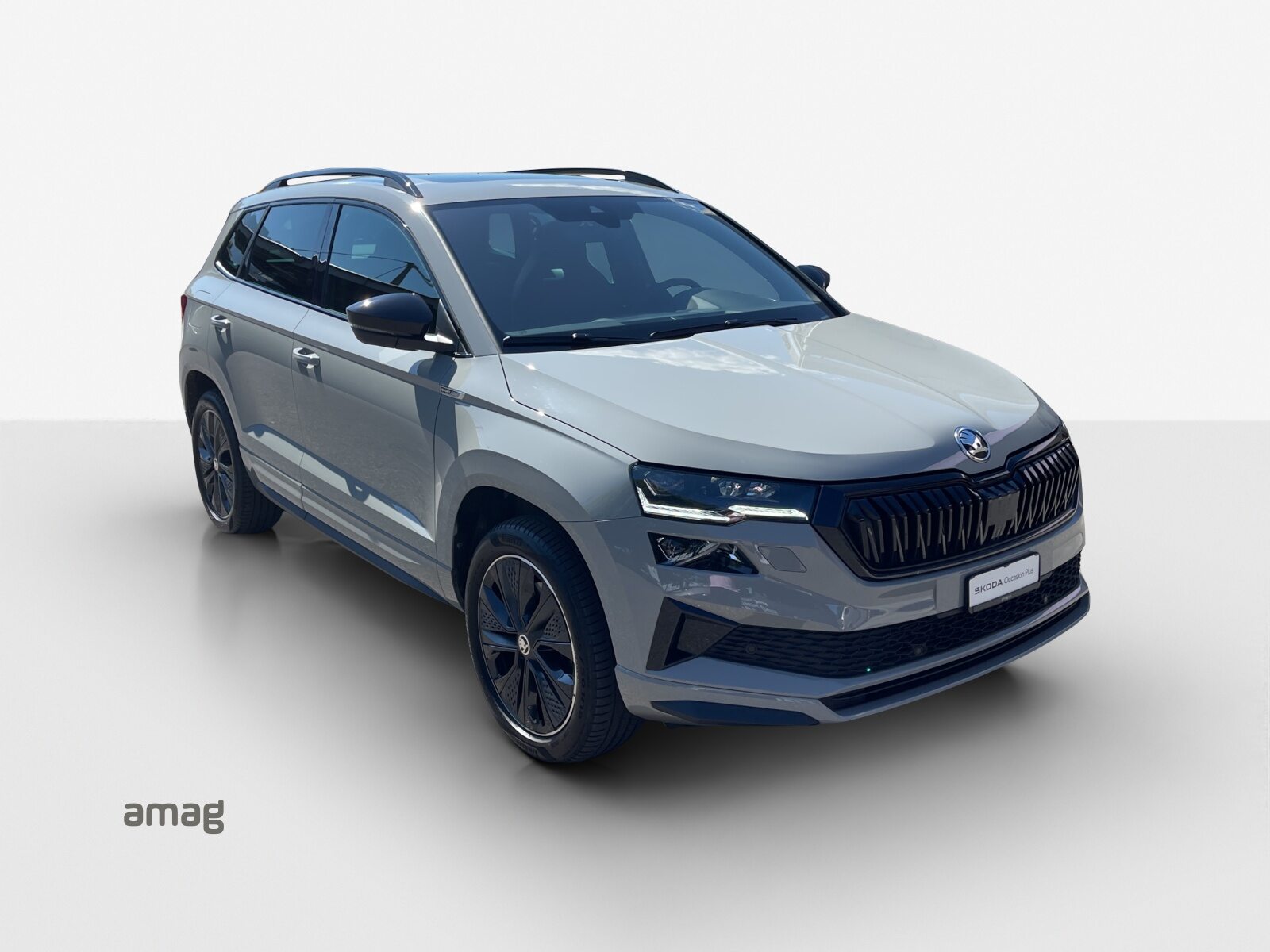 SKODA Karoq SportLine, Essence, Occasion / Utilisé, Automatique - 6