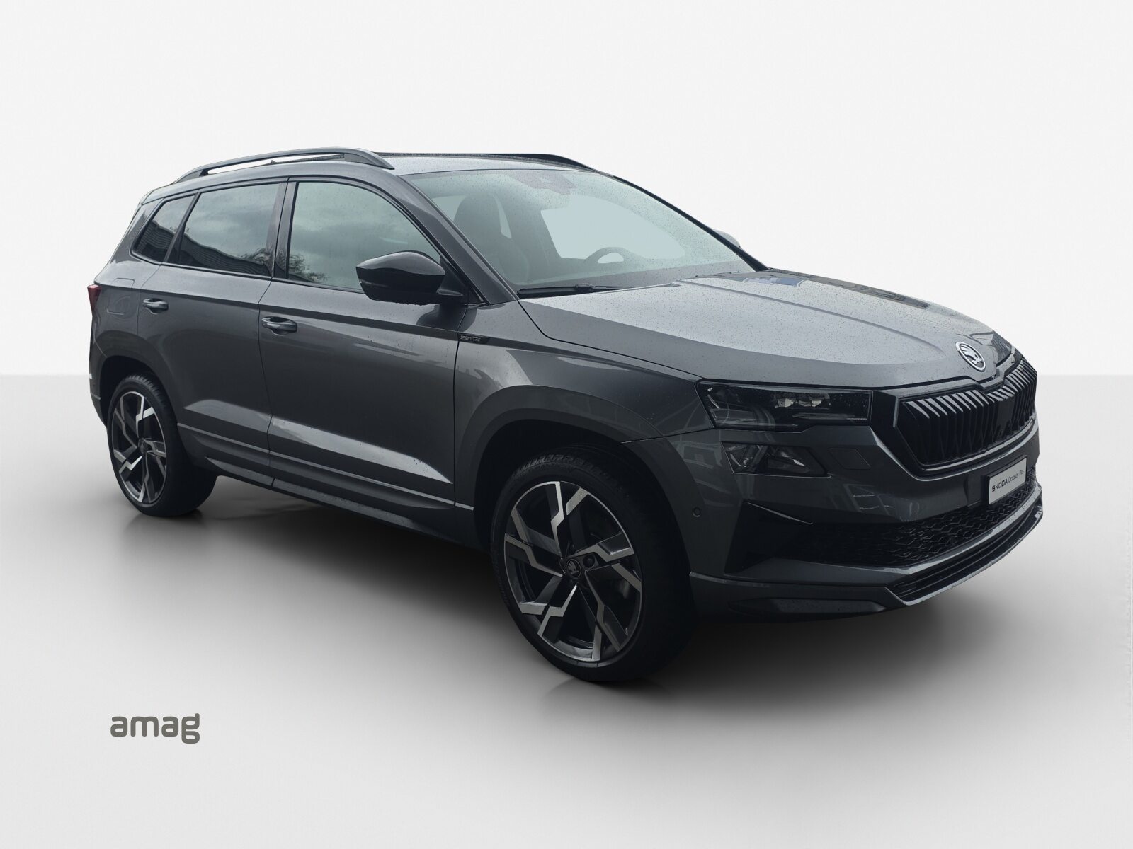 SKODA Karoq Sportline, Benzin, Occasion / Gebraucht, Automatik - 6