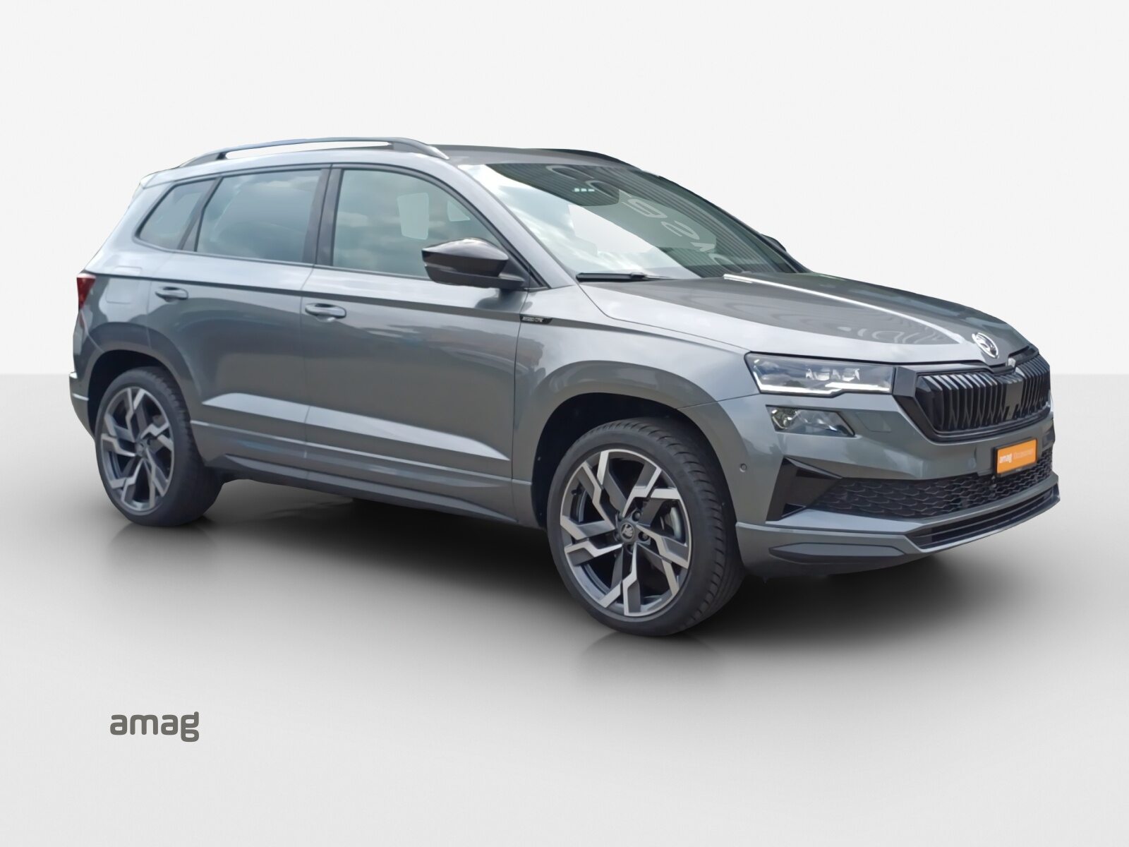 SKODA Karoq Sportline, Benzina, Occasioni / Usate, Automatico - 6