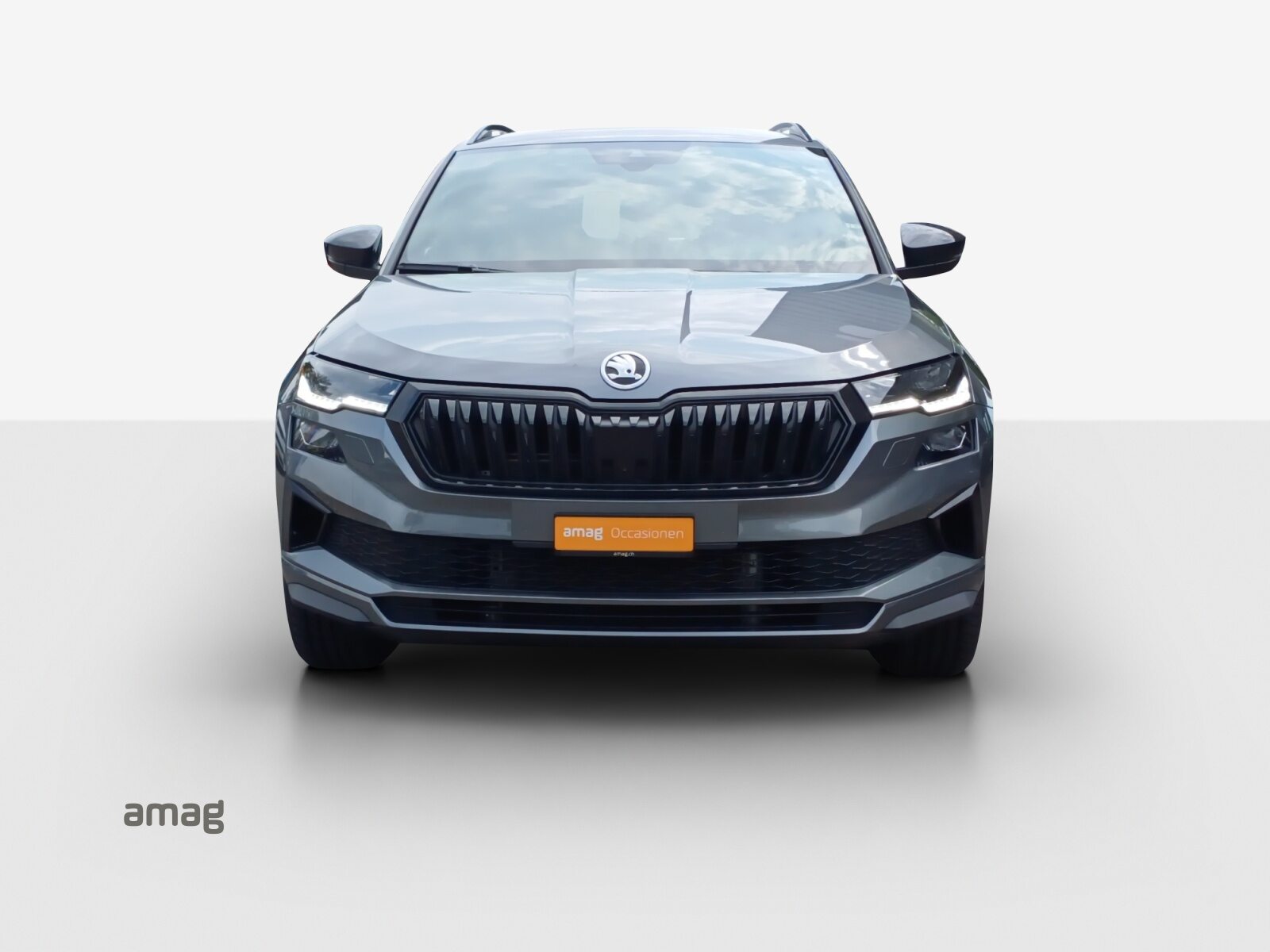 SKODA Karoq Sportline, Benzina, Occasioni / Usate, Automatico - 7