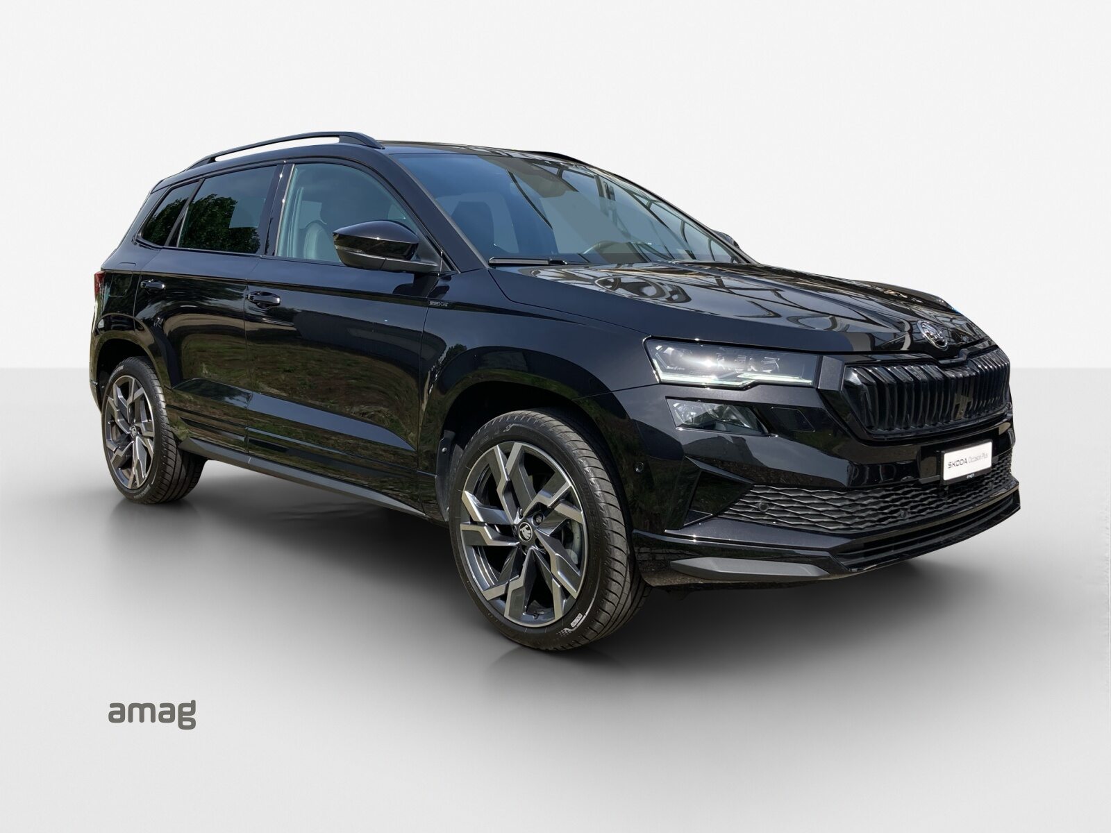 SKODA Karoq Sportline, Essence, Occasion / Utilisé, Automatique - 6