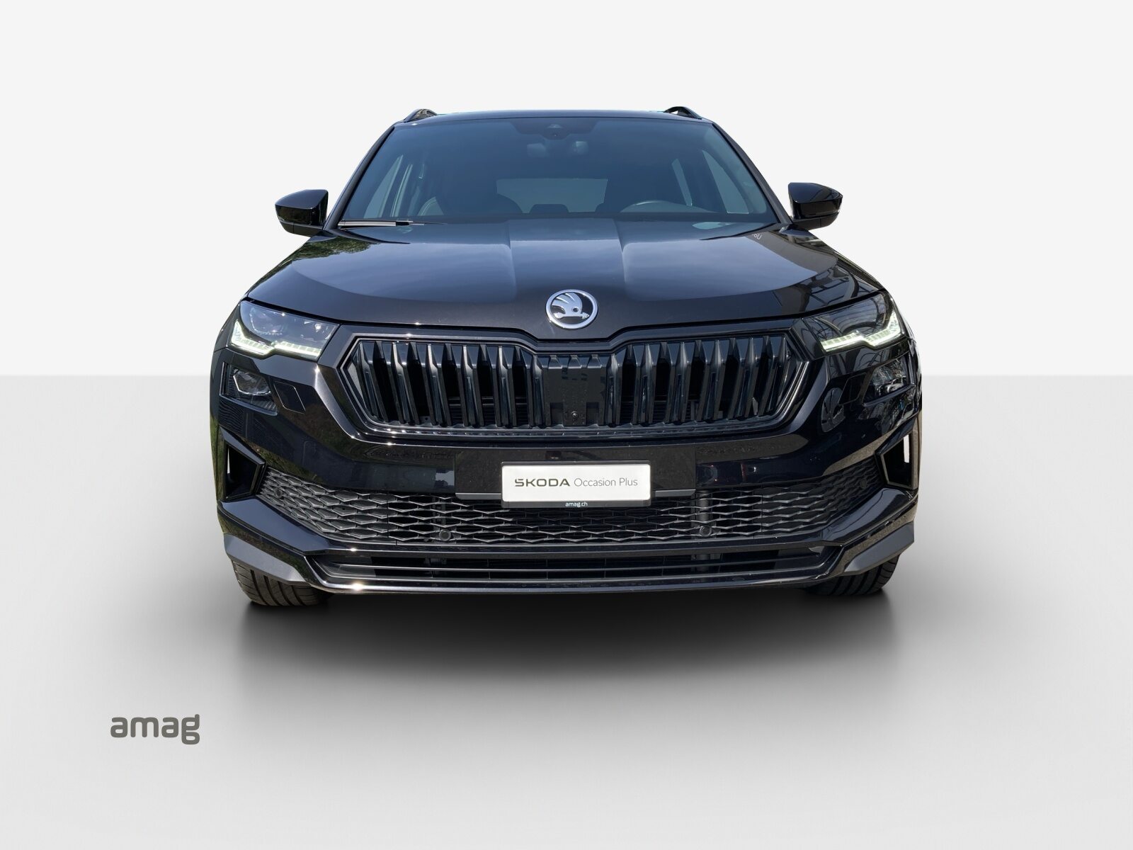SKODA Karoq Sportline, Essence, Occasion / Utilisé, Automatique - 7