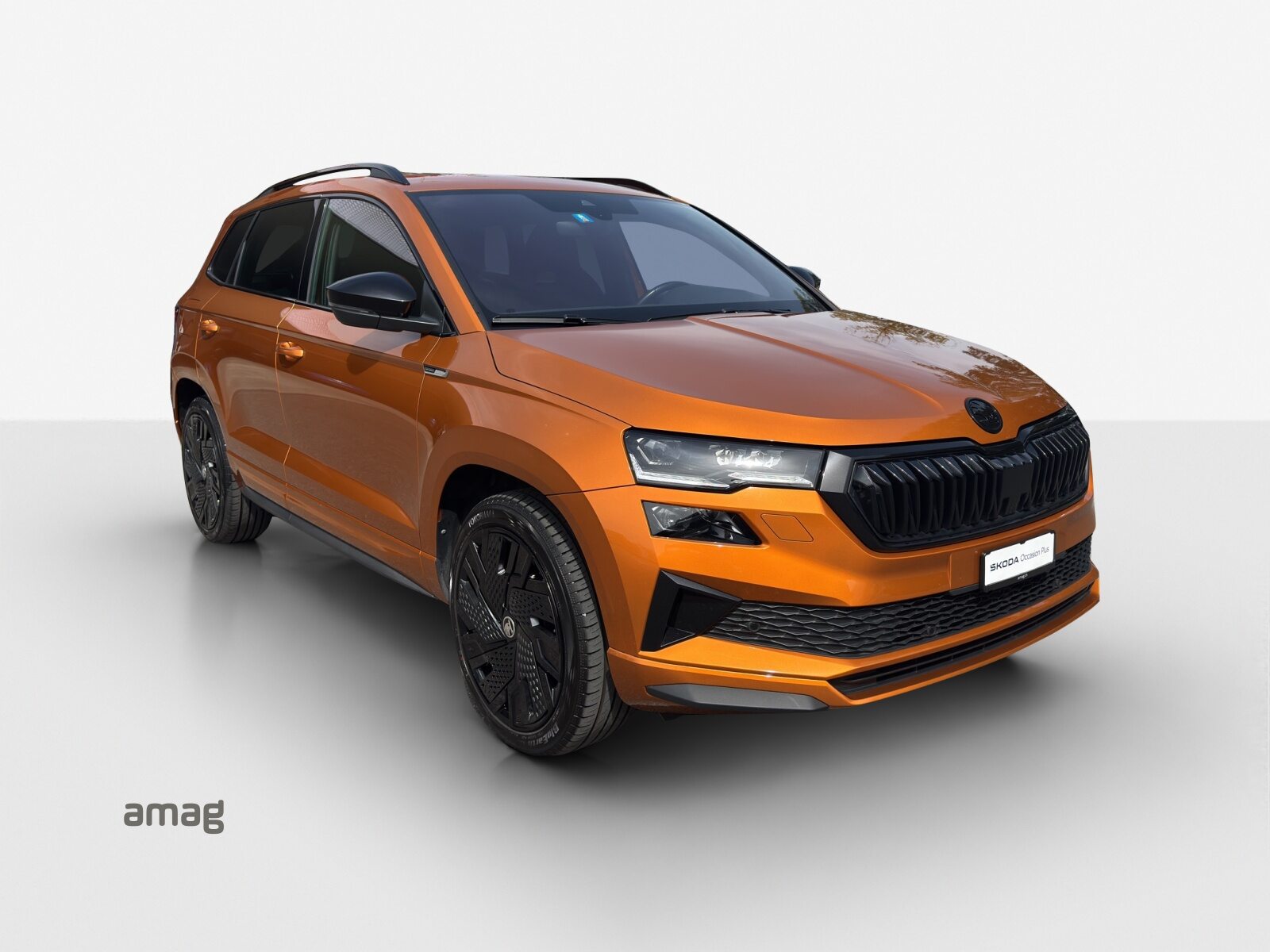SKODA Karoq SportLine, Essence, Occasion / Utilisé, Automatique - 6