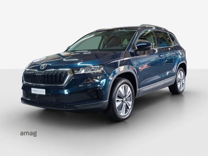 SKODA Karoq Ambition, Benzina, Occasioni / Usate, Automatico