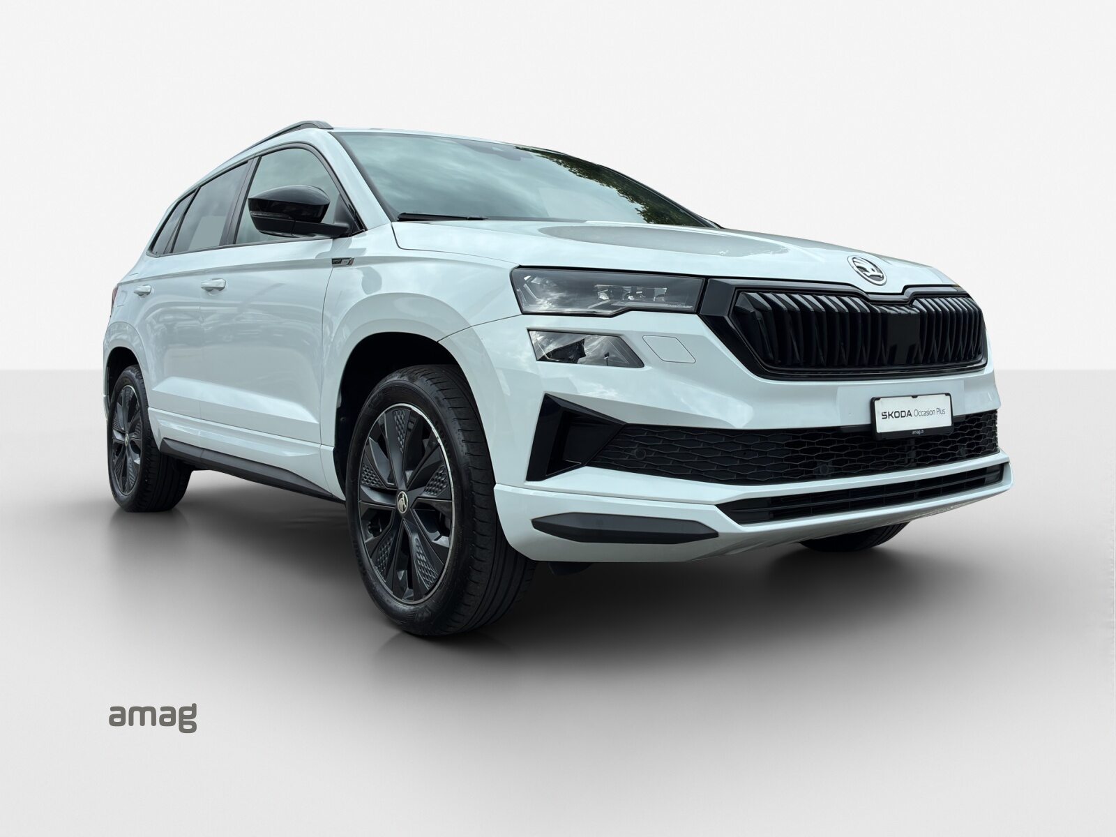 SKODA Karoq SportLine, Benzin, Occasion / Gebraucht, Automatik - 6