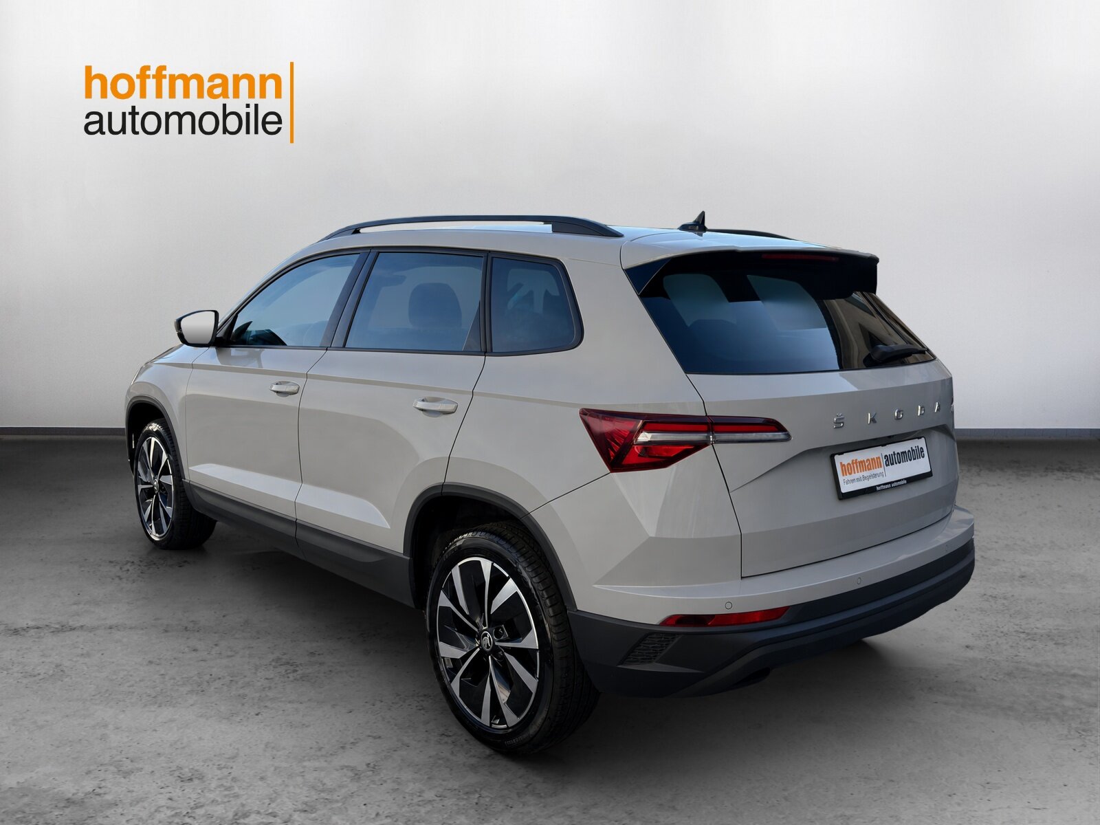 SKODA Karoq 1.5 TSI Style DSG, Benzina, Occasioni / Usate, Automatico - 6