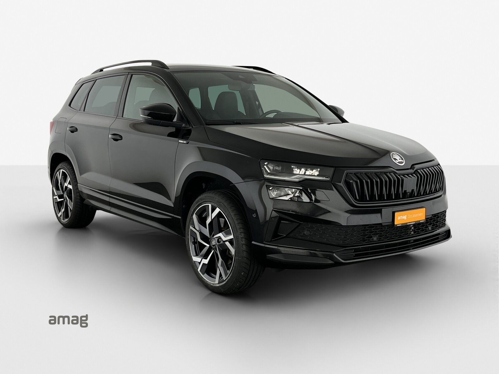 SKODA Karoq Sportline, Benzina, Occasioni / Usate, Automatico - 6