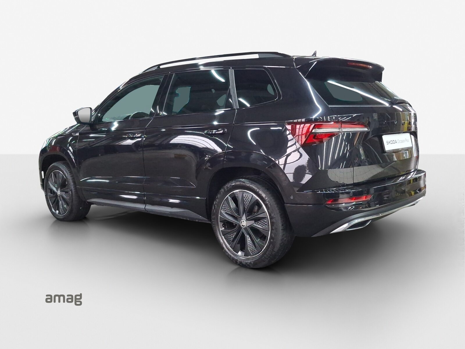 SKODA NEW KAROQ SportLine, Benzina, Occasioni / Usate, Automatico - 3