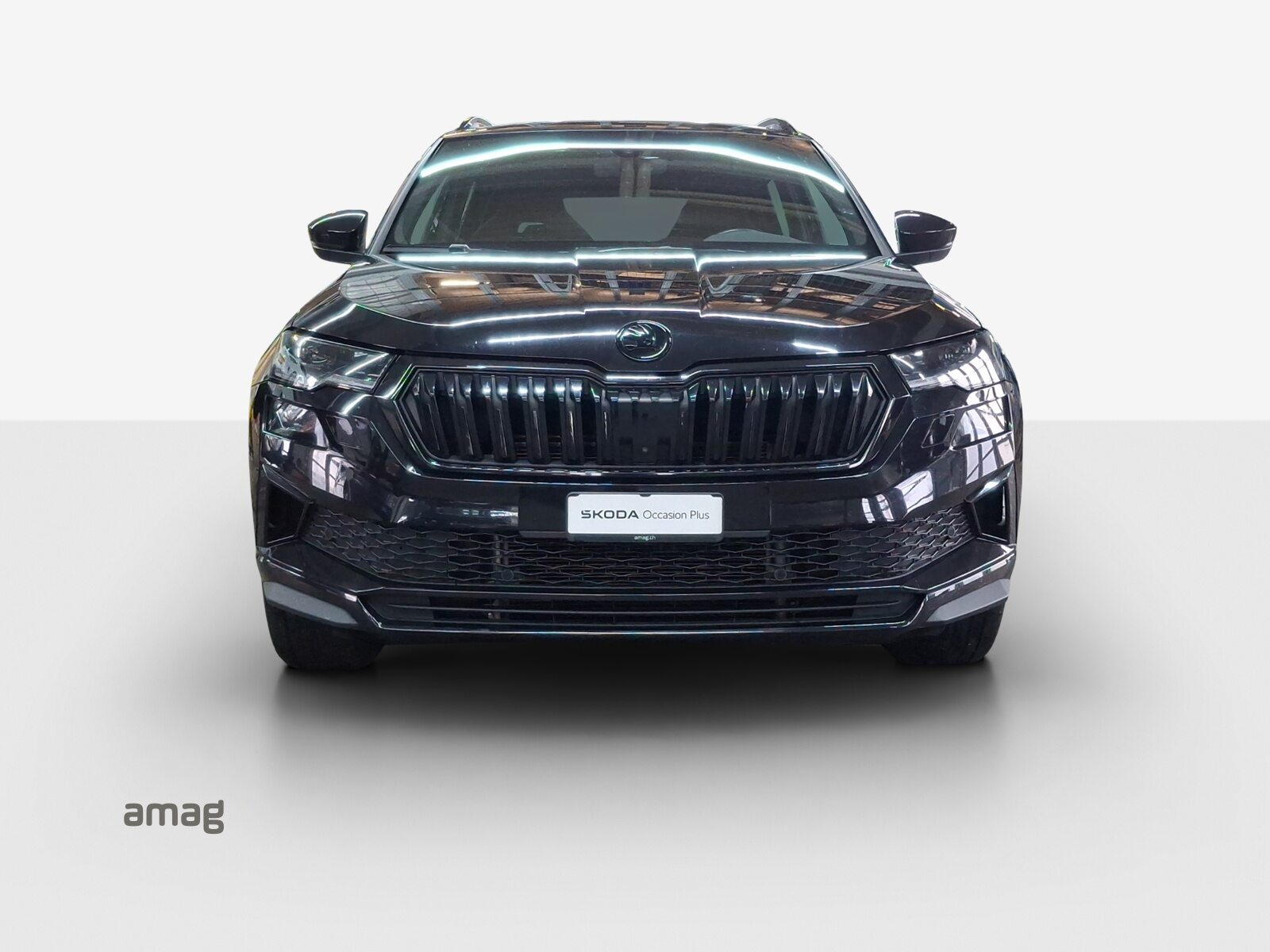SKODA NEW KAROQ SportLine, Benzina, Occasioni / Usate, Automatico - 6