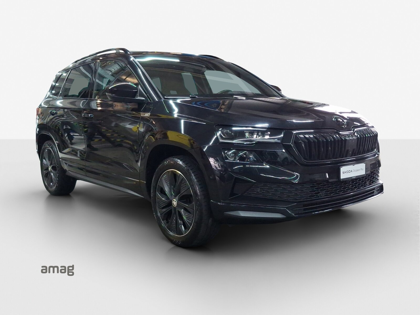 SKODA NEW KAROQ SportLine, Benzina, Occasioni / Usate, Automatico - 7