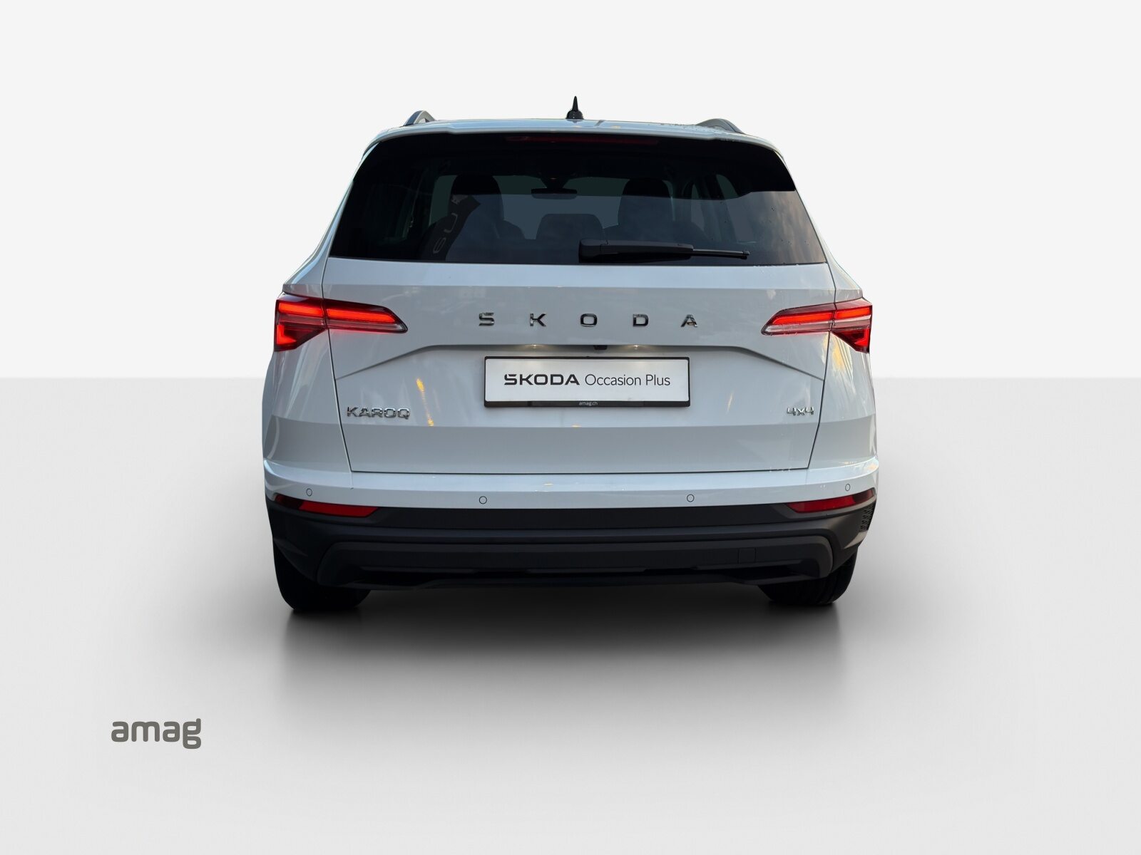 SKODA Karoq Selection, Diesel, Occasioni / Usate, Automatico - 4