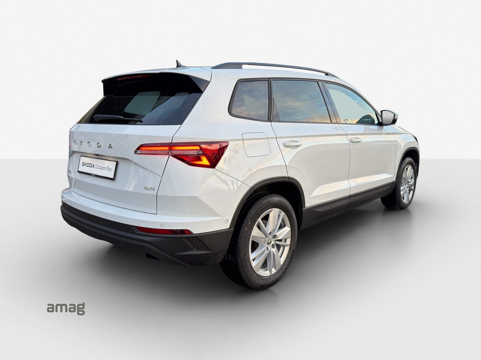 SKODA Karoq Selection, Diesel, Occasioni / Usate, Automatico - 5
