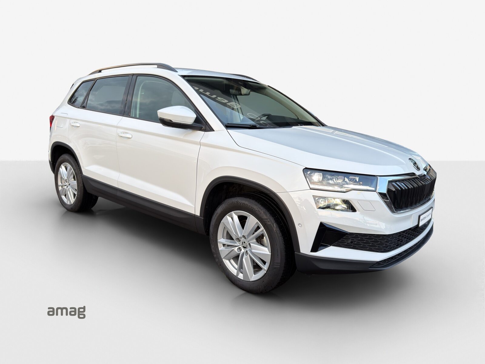 SKODA Karoq Selection, Diesel, Occasioni / Usate, Automatico - 6