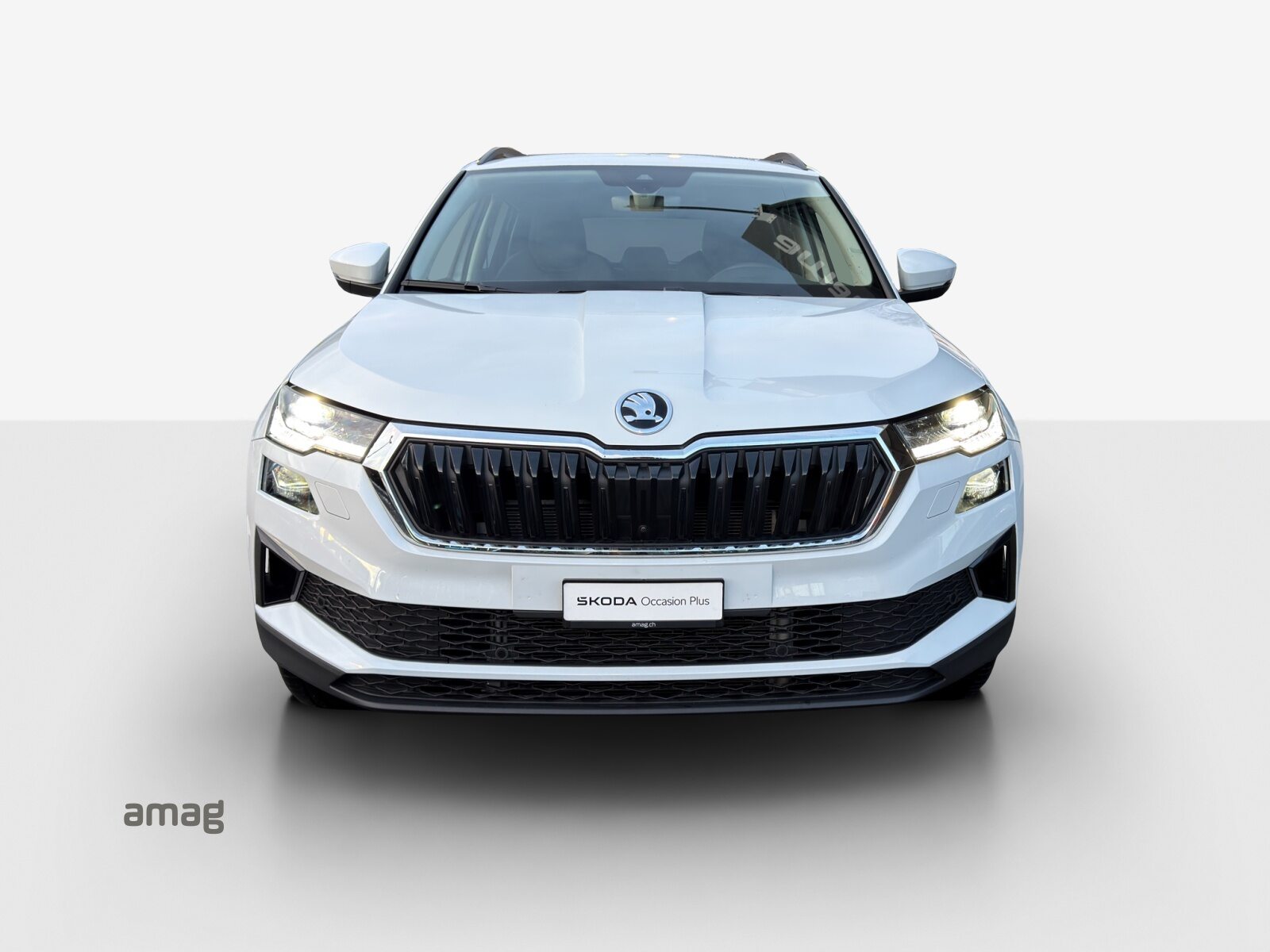 SKODA Karoq Selection, Diesel, Occasioni / Usate, Automatico - 7
