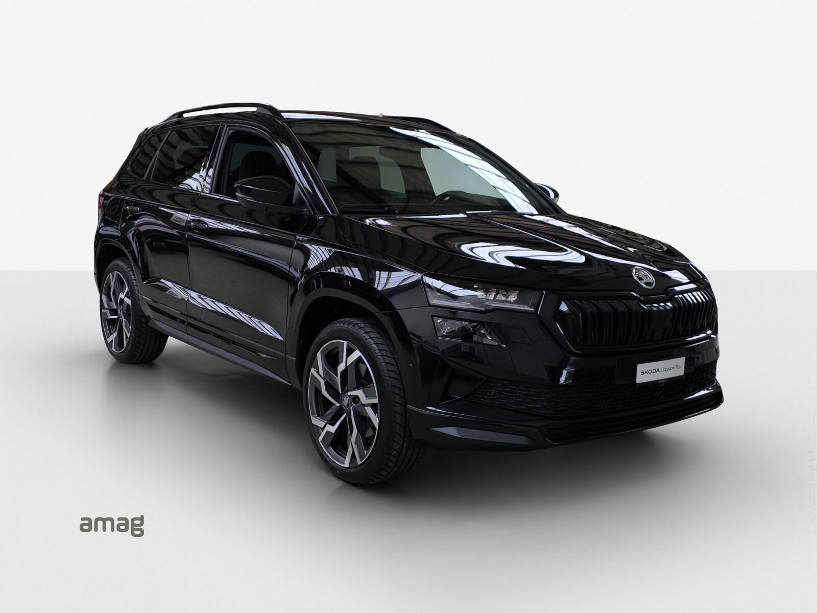 SKODA Karoq Sportline, Benzina, Occasioni / Usate, Automatico - 6