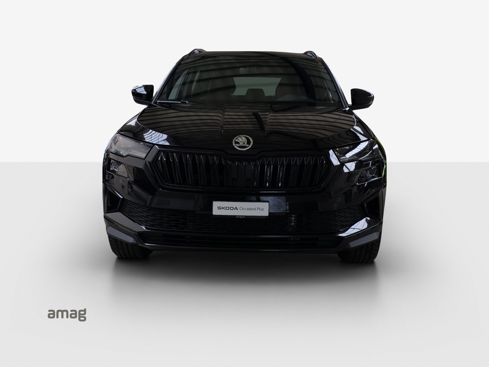 SKODA Karoq Sportline, Benzina, Occasioni / Usate, Automatico - 7