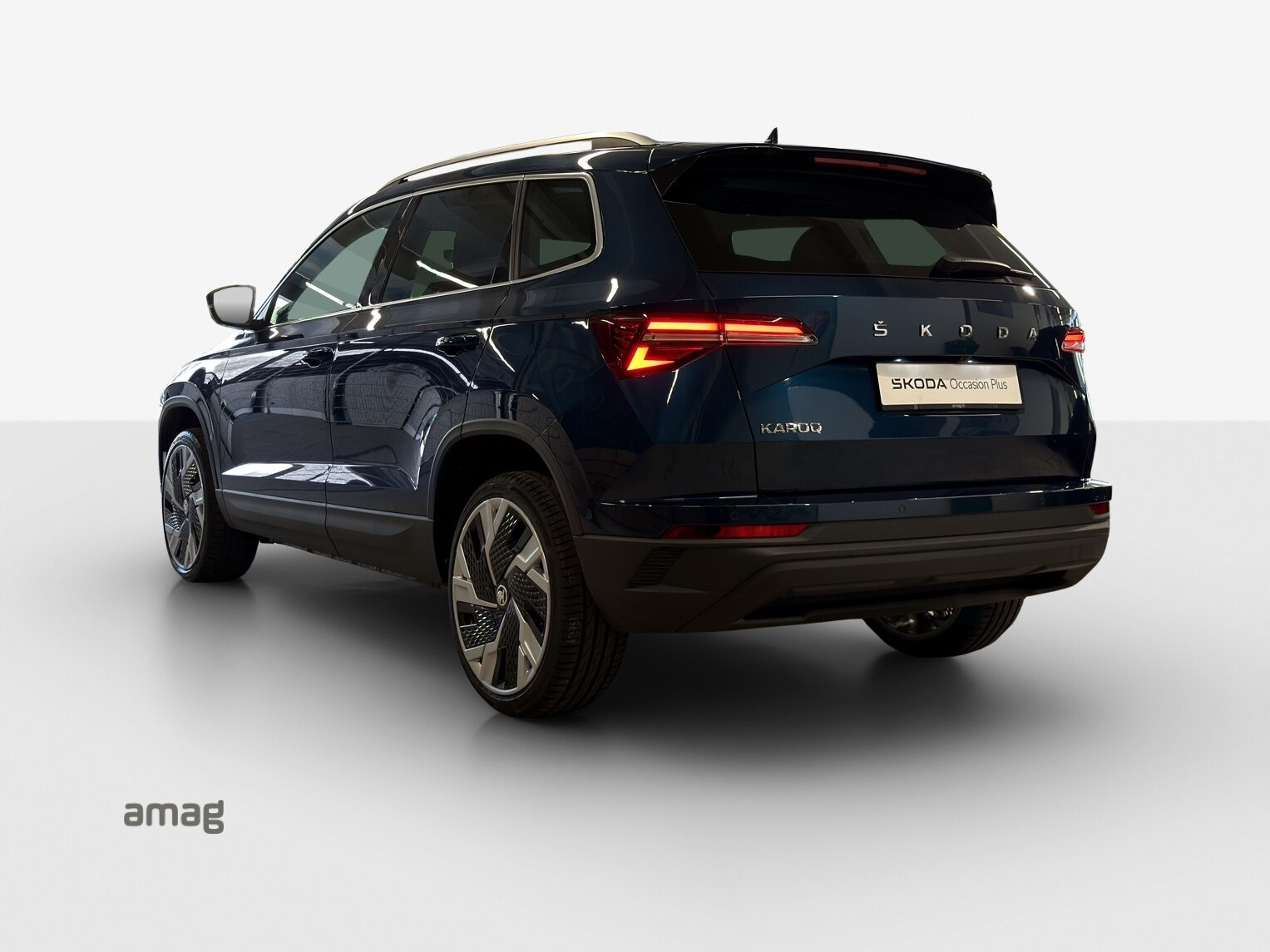 SKODA Karoq Style, Benzina, Occasioni / Usate, Automatico - 3