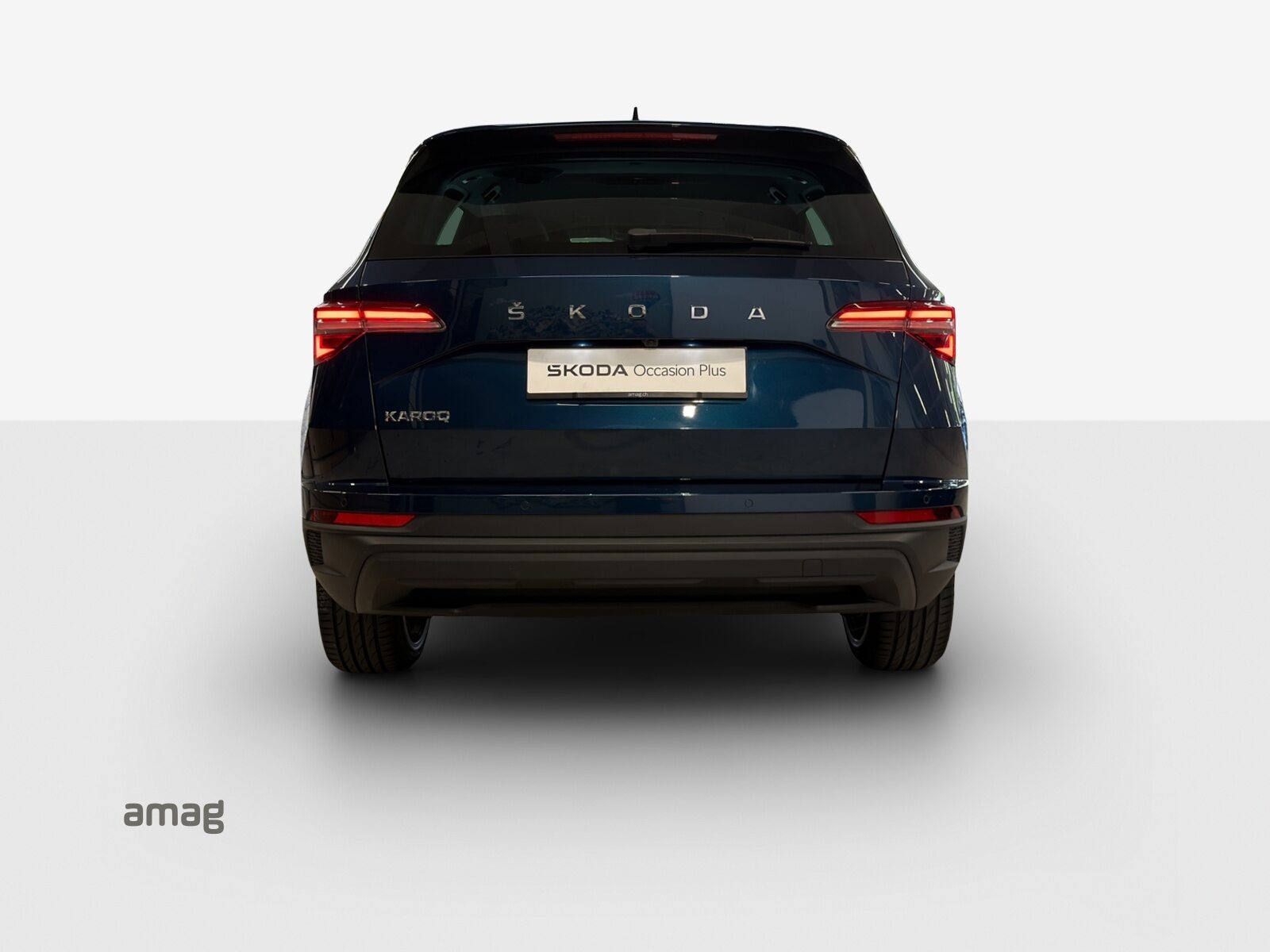 SKODA Karoq Style, Benzina, Occasioni / Usate, Automatico - 4
