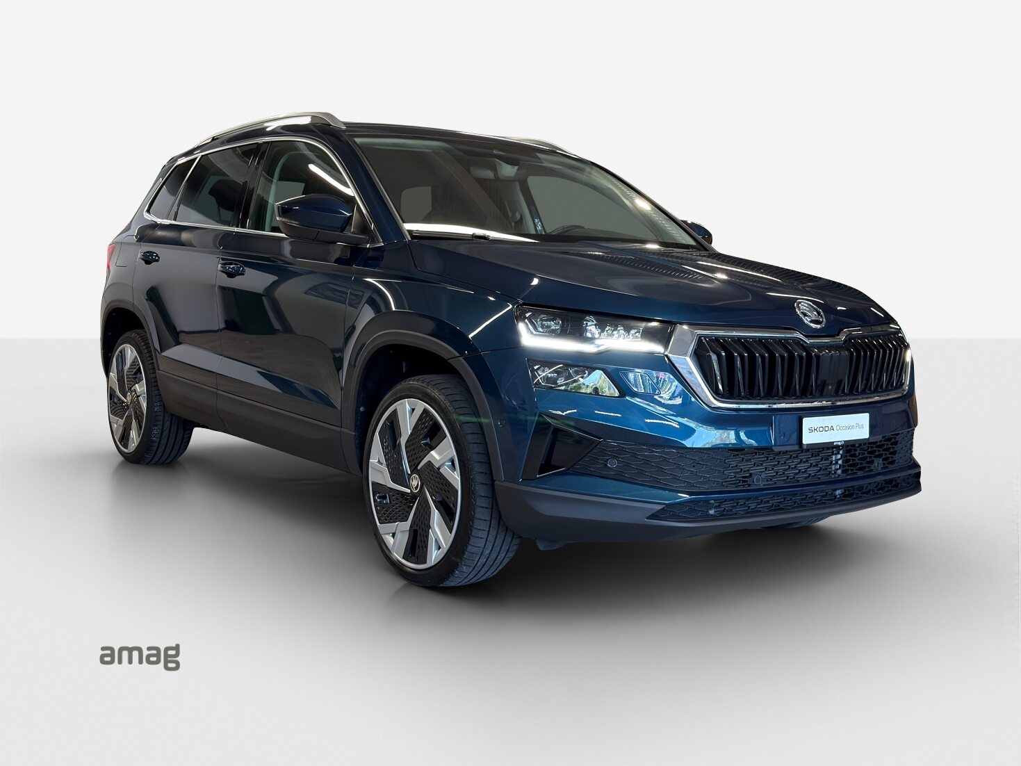 SKODA Karoq Style, Benzina, Occasioni / Usate, Automatico - 6