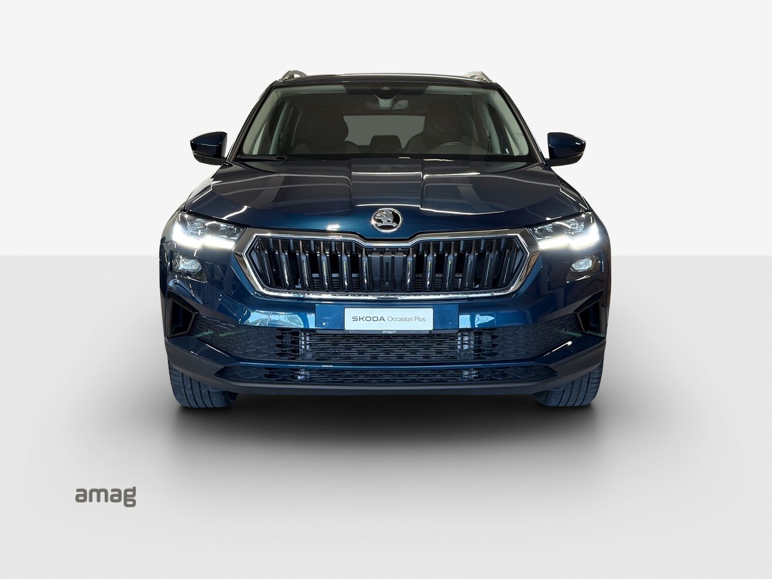SKODA Karoq Style, Benzina, Occasioni / Usate, Automatico - 7