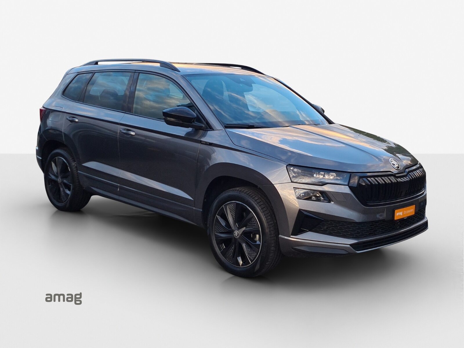 SKODA Karoq Sportline, Essence, Occasion / Utilisé, Automatique - 6