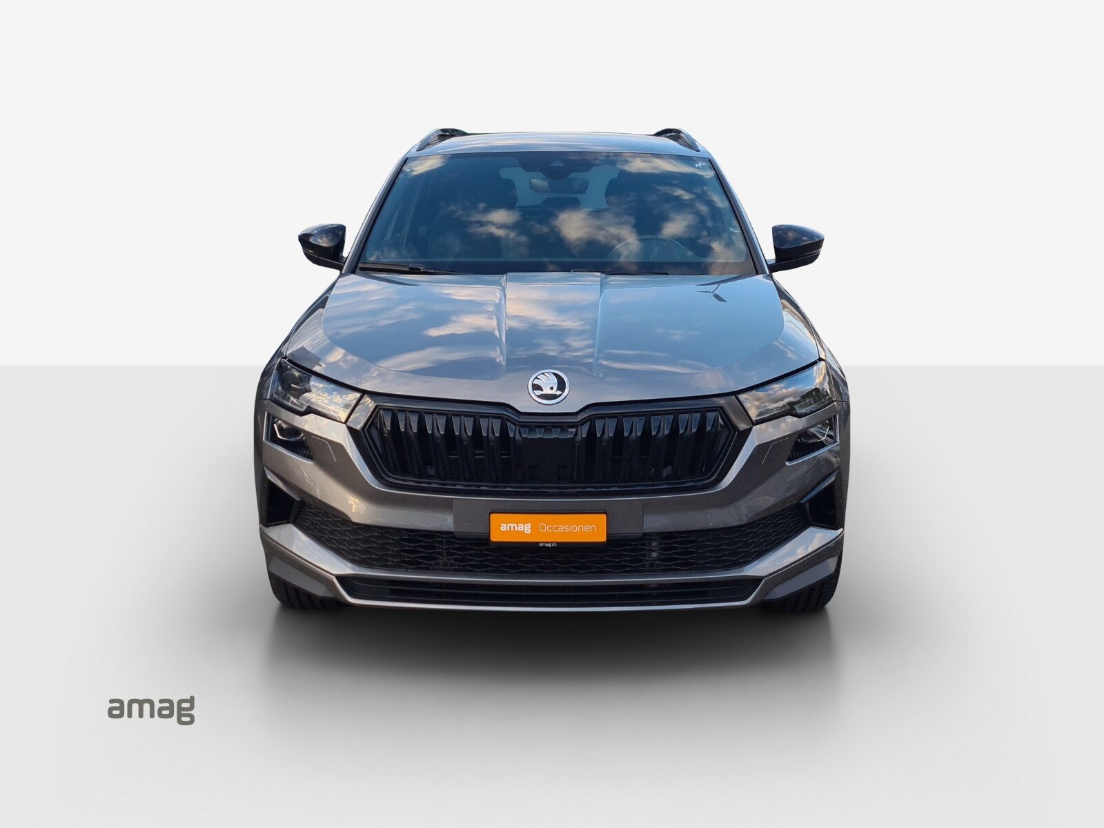 SKODA Karoq Sportline, Essence, Occasion / Utilisé, Automatique - 7