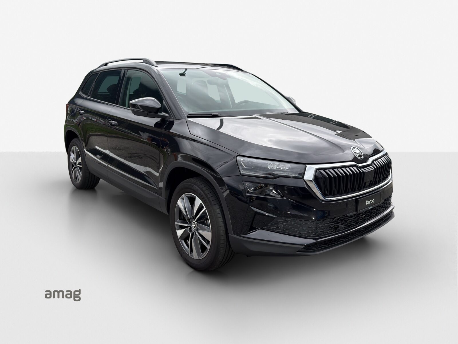 SKODA Karoq Dynamic (Netto), Essence, Occasion / Utilisé, Automatique - 6
