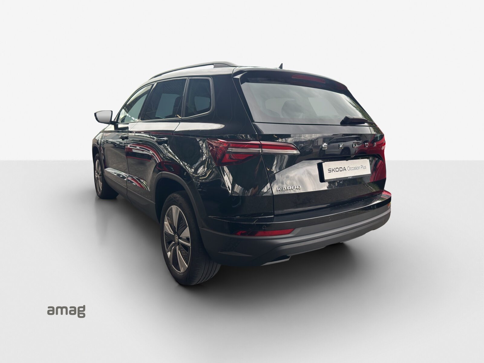 SKODA Karoq Ambition, Benzina, Occasioni / Usate, Automatico - 3