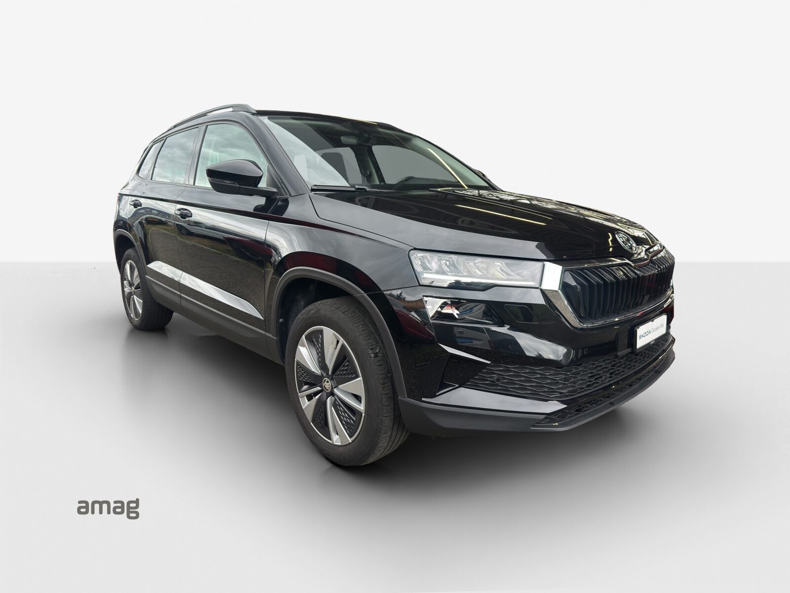 SKODA Karoq Ambition, Benzina, Occasioni / Usate, Automatico - 6