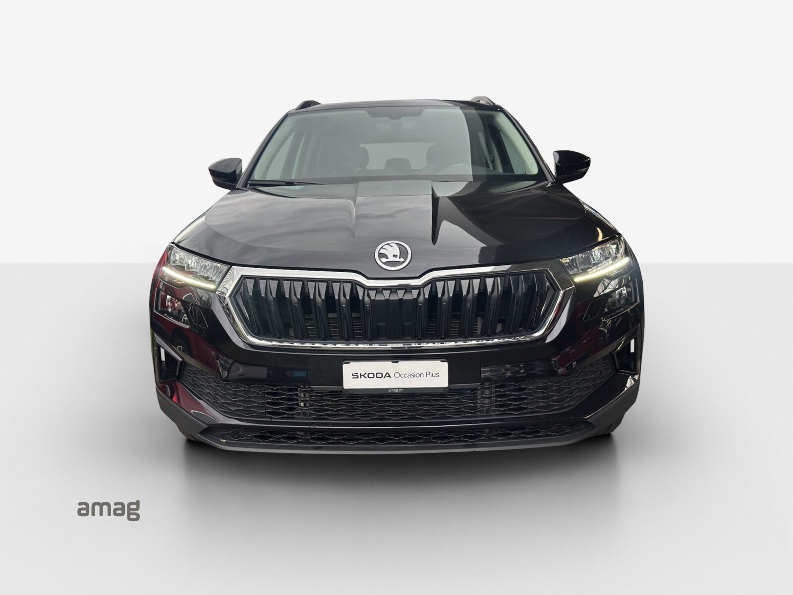 SKODA Karoq Ambition, Benzina, Occasioni / Usate, Automatico - 7