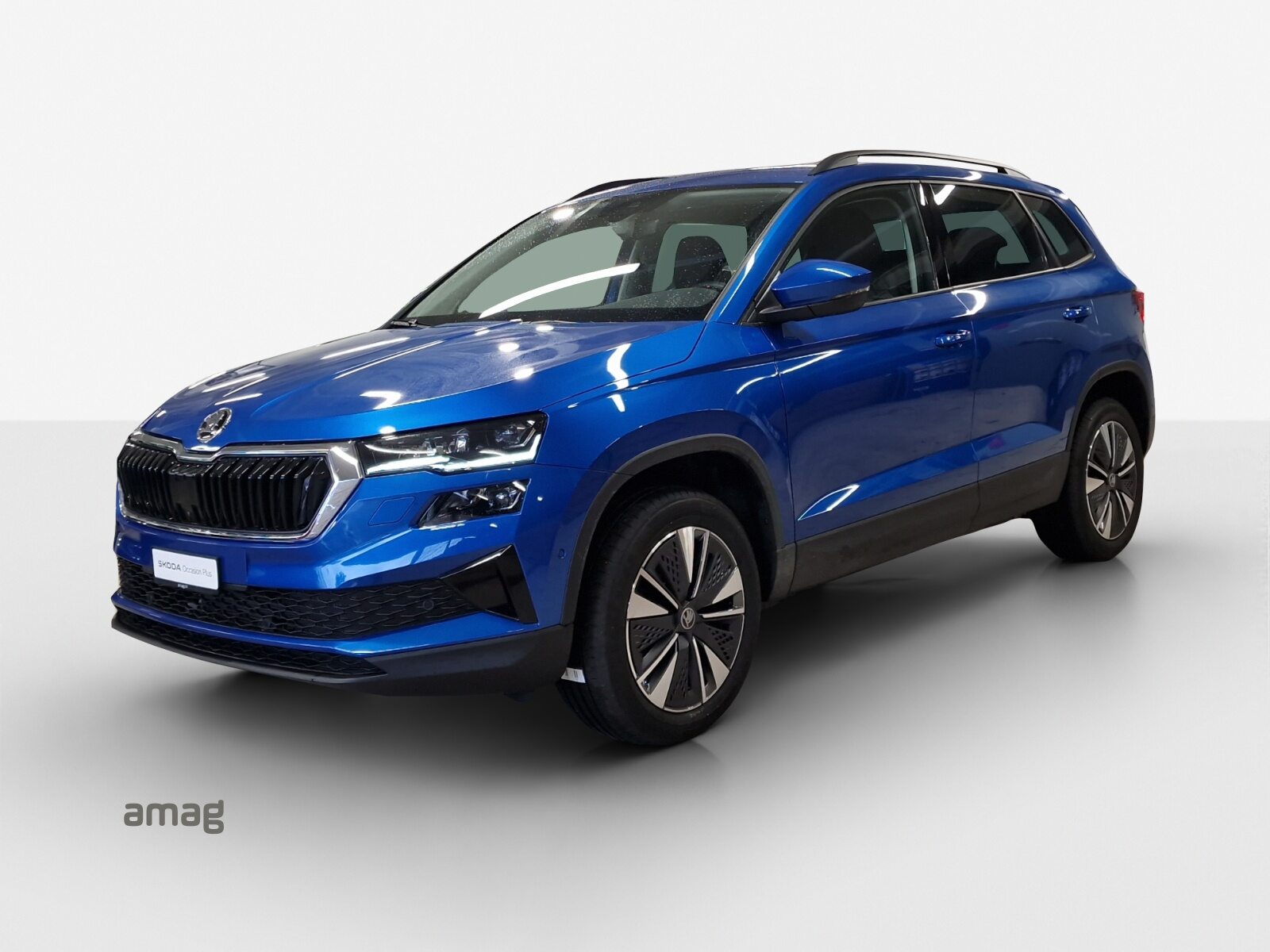 SKODA Karoq Dynamic (Netto)