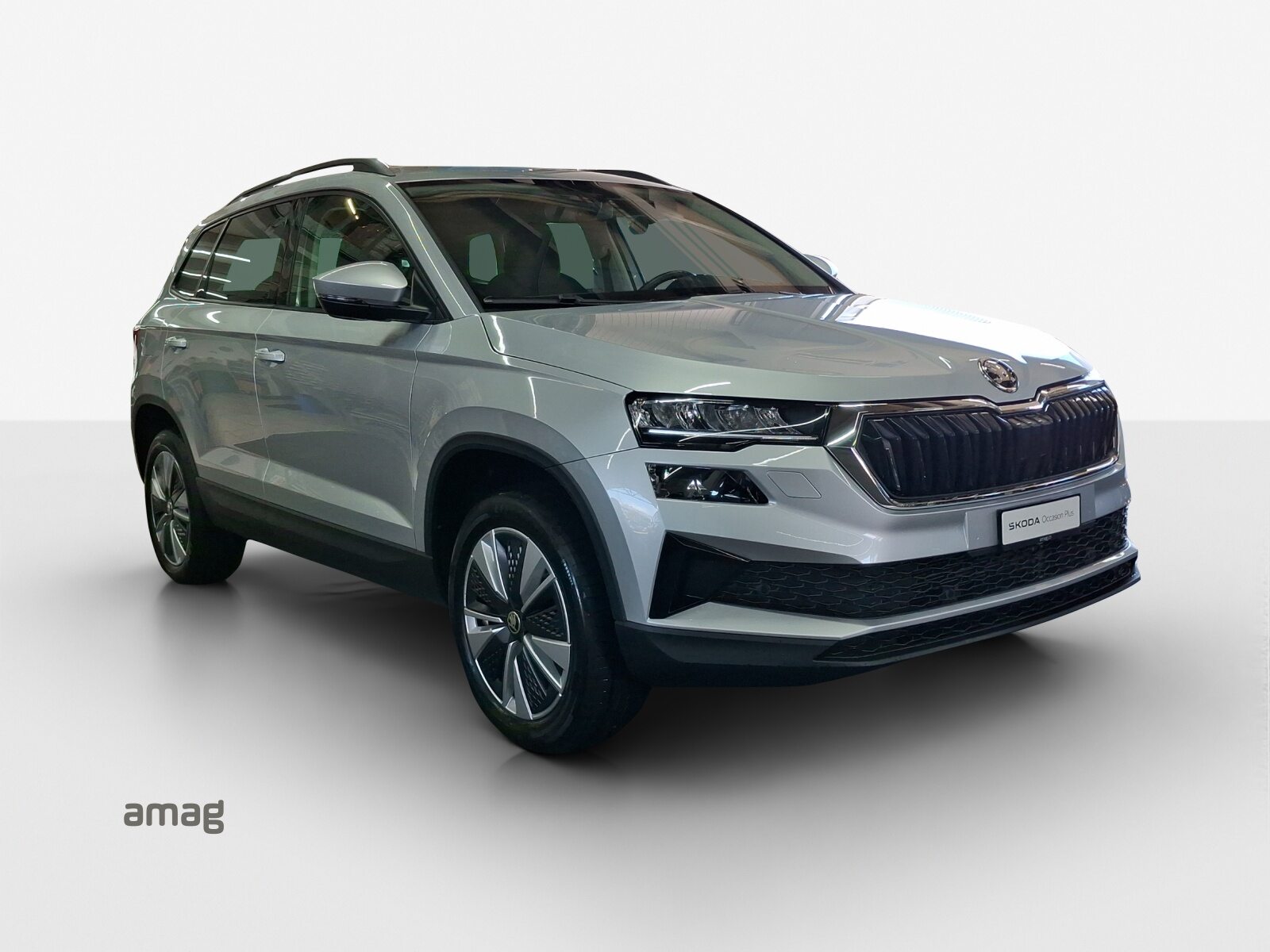SKODA Karoq Ambition, Petrol, Second hand / Used, Manual - 6