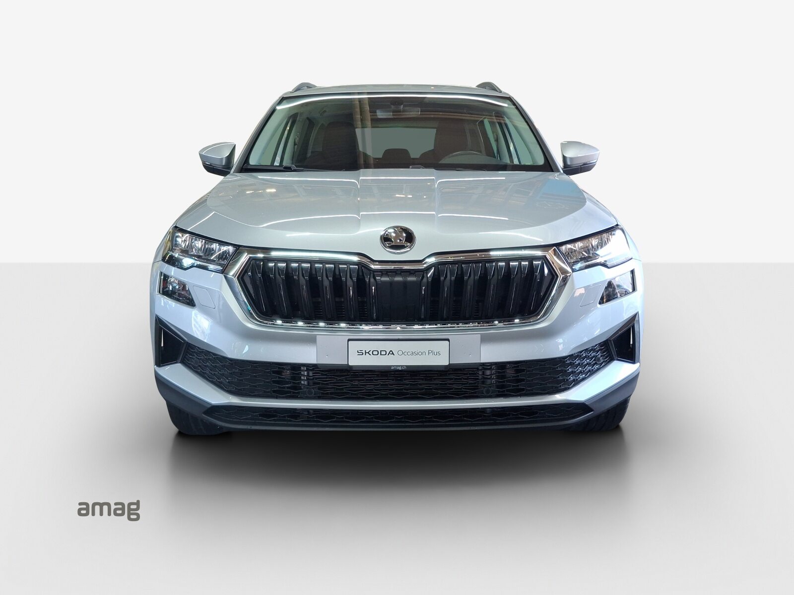 SKODA Karoq Ambition, Petrol, Second hand / Used, Manual - 7