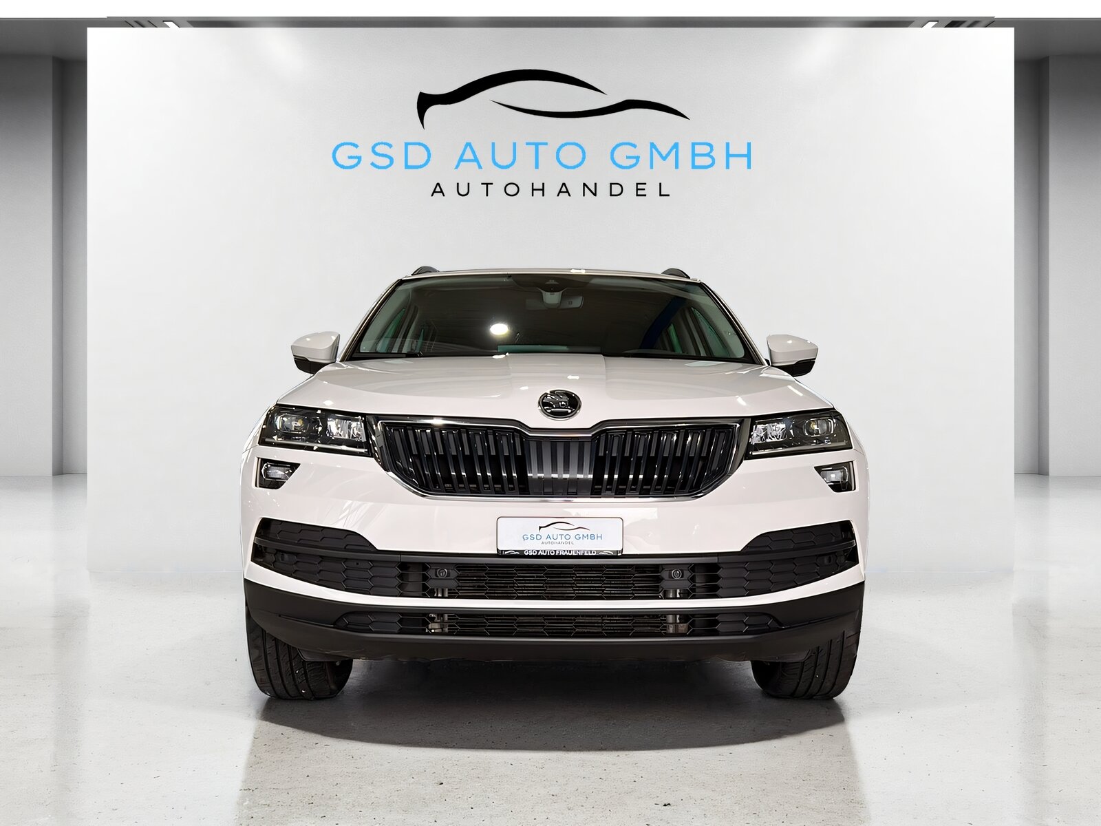 SKODA Karoq 2.0 TDI Drive 4x4 DSG**AHK,Rückfahrtkamera,Tempomat, Diesel, Occasion / Utilisé, Automatique - 2