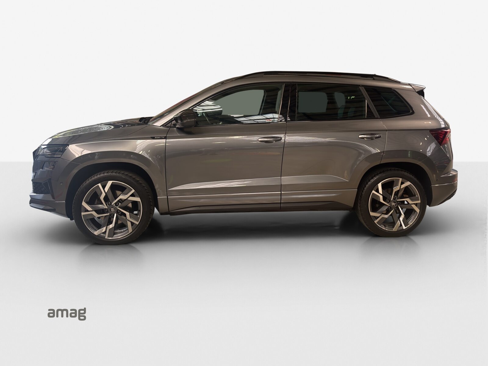 SKODA Karoq Sportline, Benzina, Occasioni / Usate, Automatico - 2