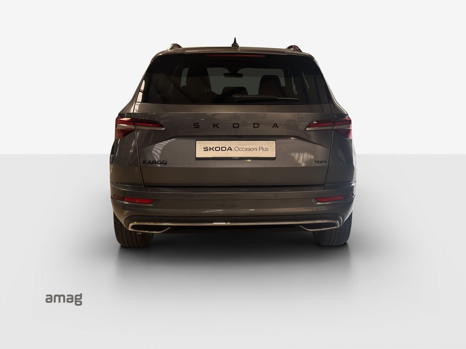 SKODA Karoq Sportline, Benzina, Occasioni / Usate, Automatico - 4