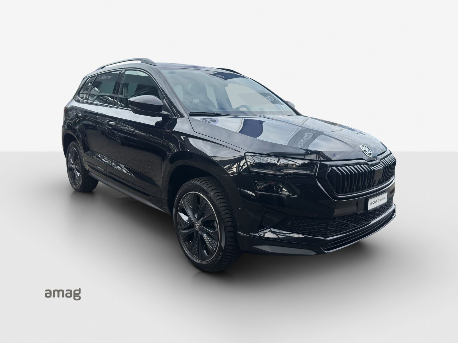 SKODA Karoq Sportline, Benzin, Occasion / Gebraucht, Automatik - 6