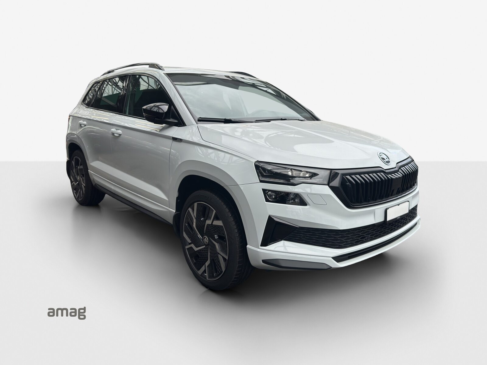 SKODA Karoq SportLine, Diesel, Occasion / Gebraucht, Automatik - 6