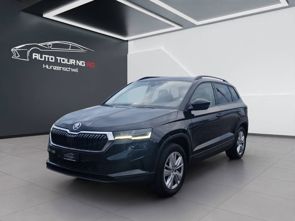 SKODA Karoq 2.0 TDI Dynamic 4x4 DSG, Diesel, Occasioni / Usate, Automatico - 7