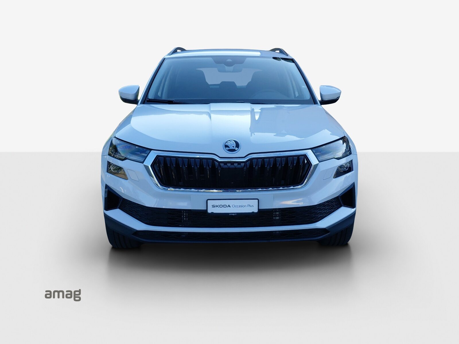 SKODA Karoq Selection, Diesel, Occasion / Gebraucht, Automatik - 7