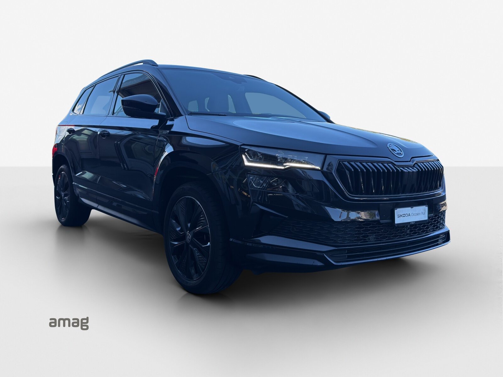 SKODA Karoq SportLine, Petrol, Second hand / Used, Automatic - 6