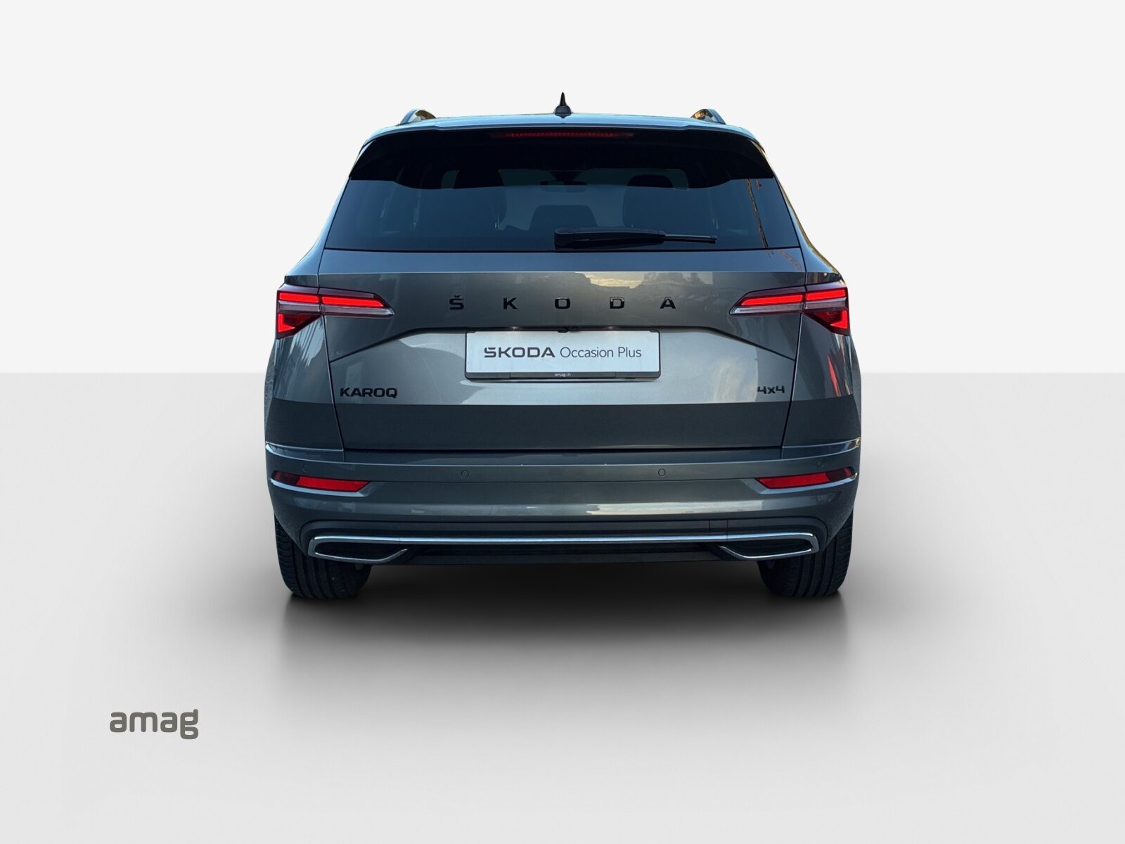 SKODA Karoq SportLine, Benzina, Occasioni / Usate, Automatico - 4