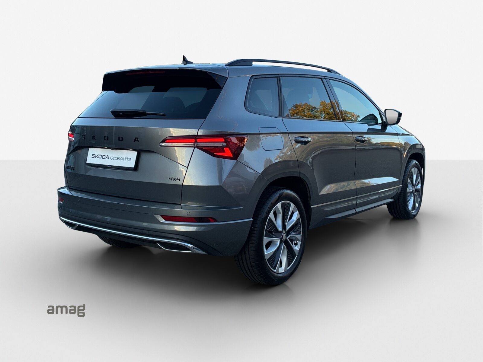 SKODA Karoq SportLine, Benzina, Occasioni / Usate, Automatico - 5