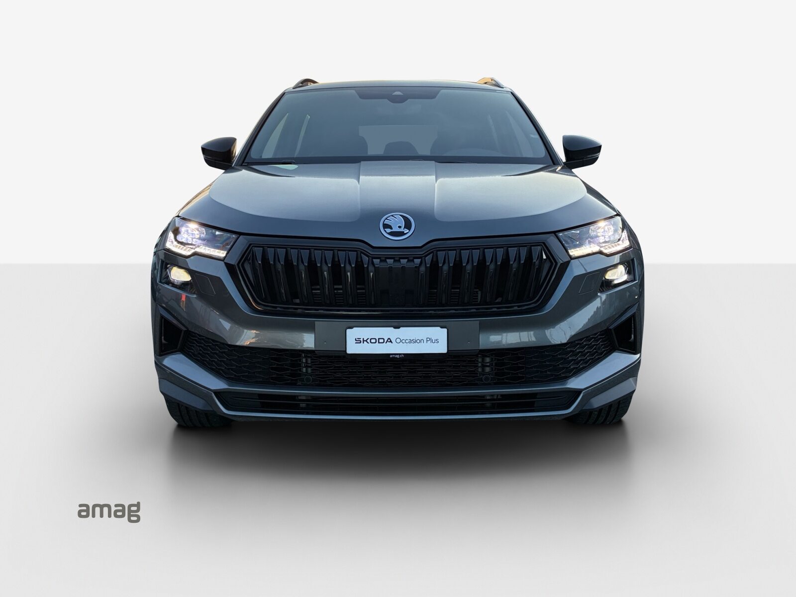 SKODA Karoq SportLine, Benzina, Occasioni / Usate, Automatico - 7