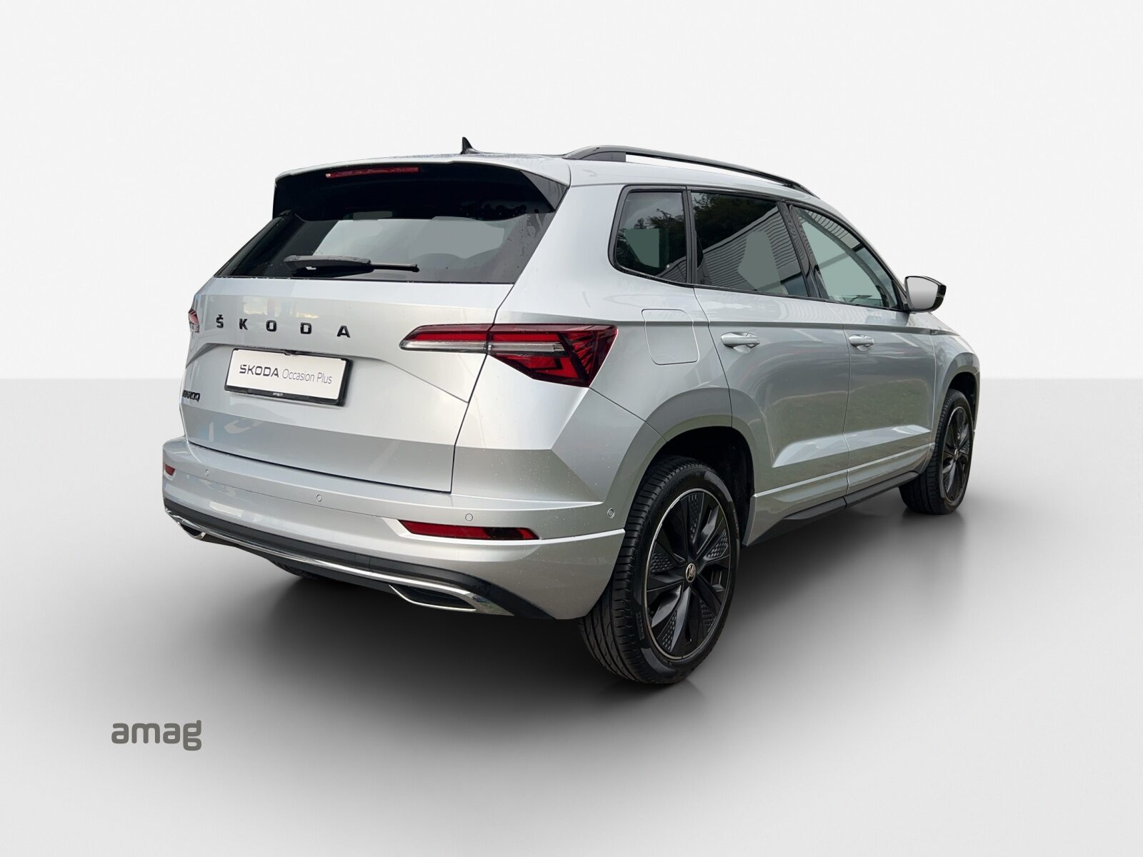 SKODA Karoq SportLine, Benzina, Occasioni / Usate, Automatico - 5
